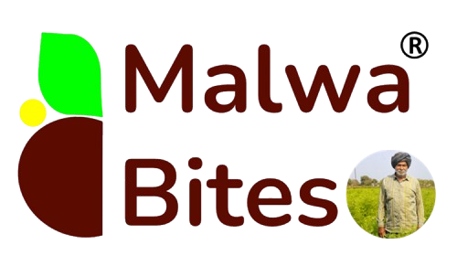 Malwa Bites